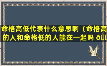 命格高低代表什么意思啊（命格高的人和命格低的人能在一起吗 🐼 ）